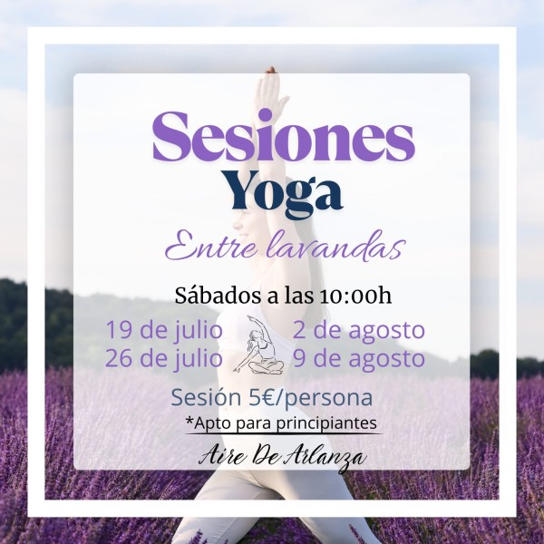 Yoga entre lavandas