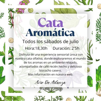 Cata Aromática. Una experiencia para despertar tus sentidos.Burgos