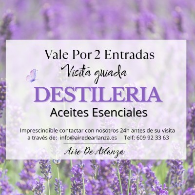 Visita guiada a nuestra destilería de lavanda