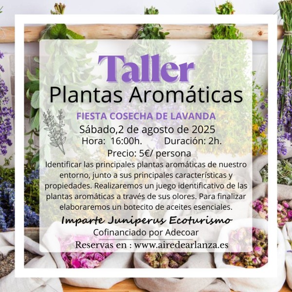 Taller Plantas Aromáticas