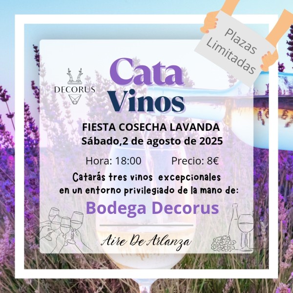 Cata de Vino