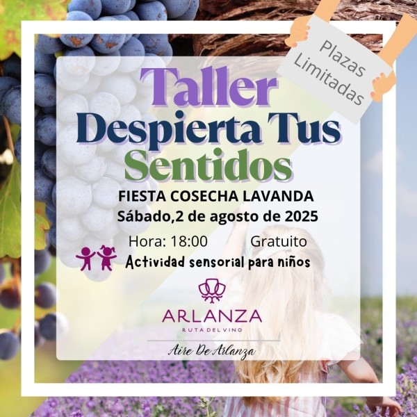Taller Despierta Tus Sentidos