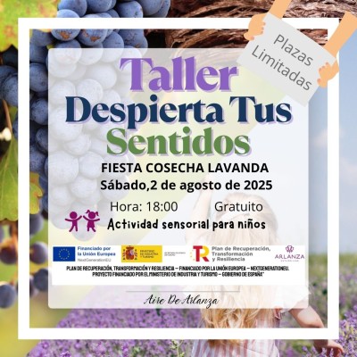 Taller Despierta Tus Sentidos