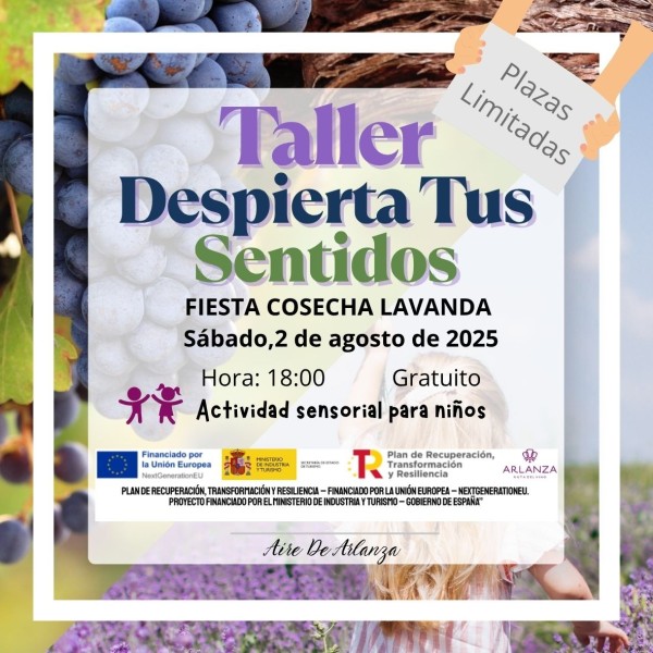 Taller Despierta Tus Sentidos
