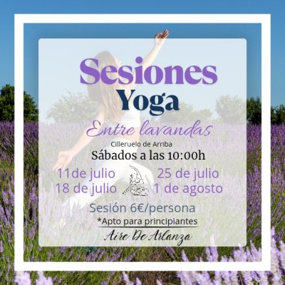 Yoga entre lavandas