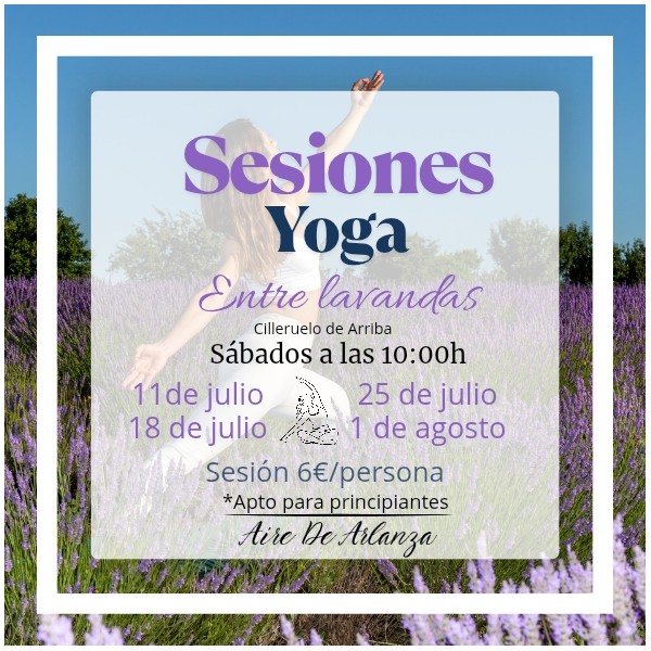 Yoga entre lavandas