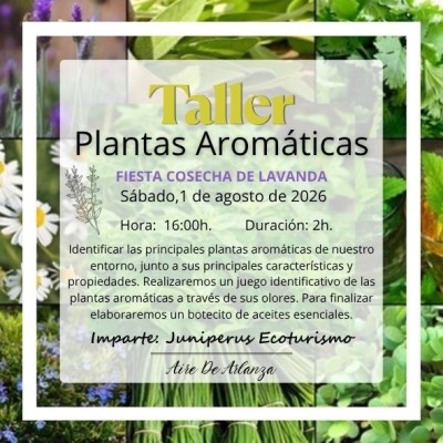 Taller Plantas Aromáticas