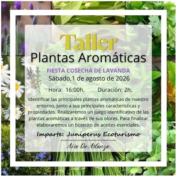 Taller Plantas Aromáticas