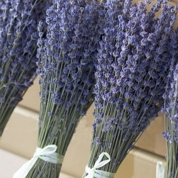 Ramo Lavanda Blue