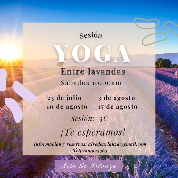 Yoga entre lavandas